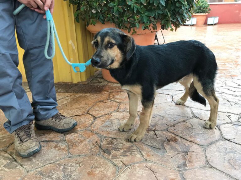 multimedia-foto46836-140-1