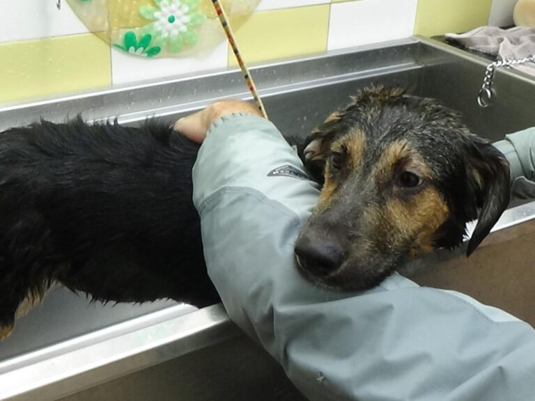 multimedia-foto46837-140-1