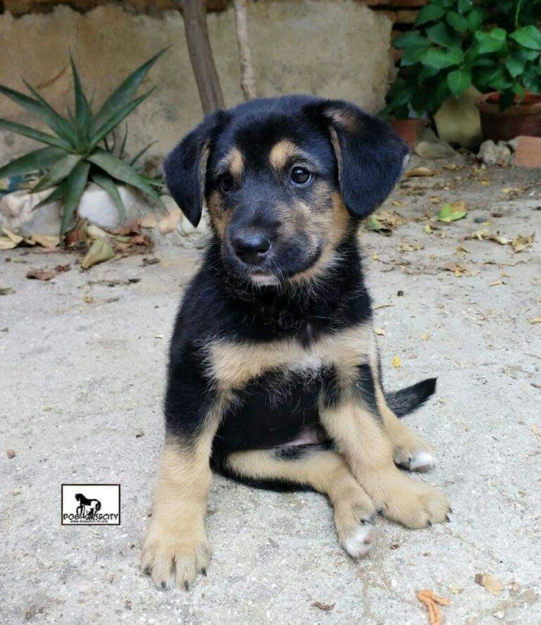 multimedia-foto46840-174-1