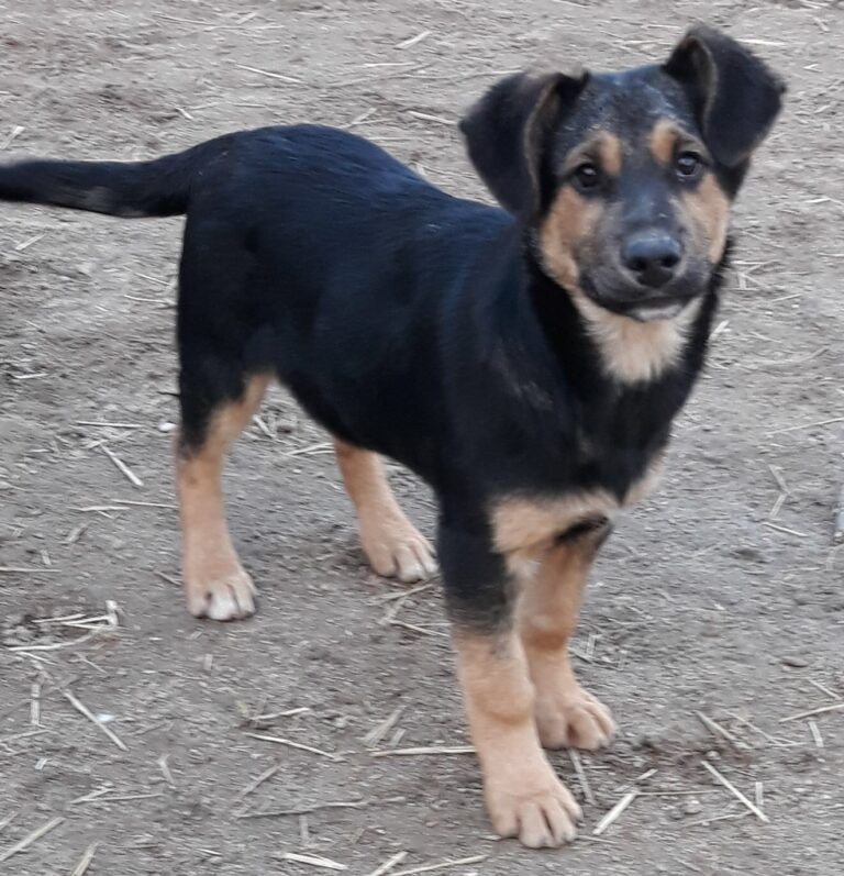 multimedia-foto46841-175-1