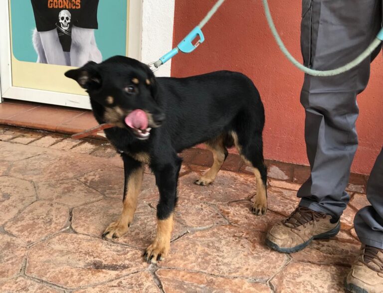 multimedia-foto46843-231-1