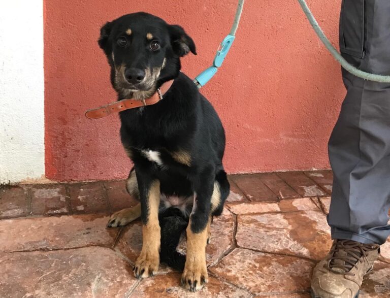 multimedia-foto46844-232-1