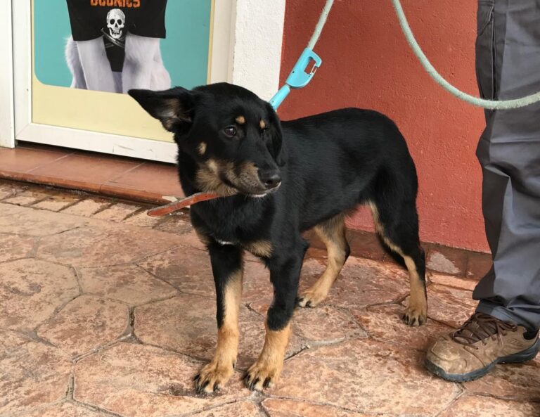 multimedia-foto46845-233-1