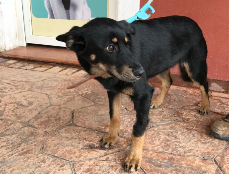 multimedia-foto46846-233-1