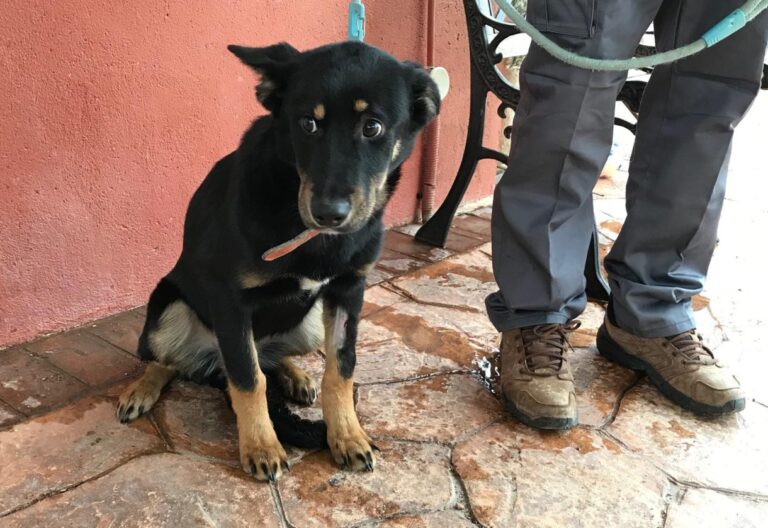 multimedia-foto46847-234-1