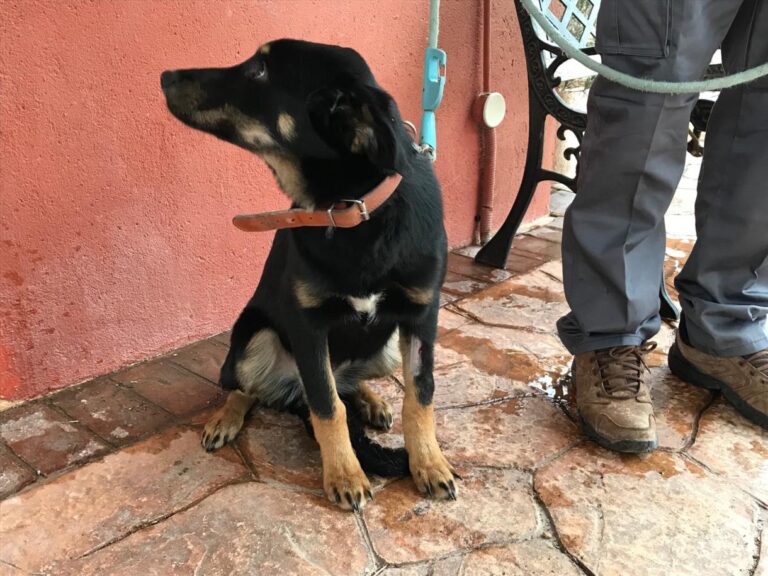 multimedia-foto46848-290-1