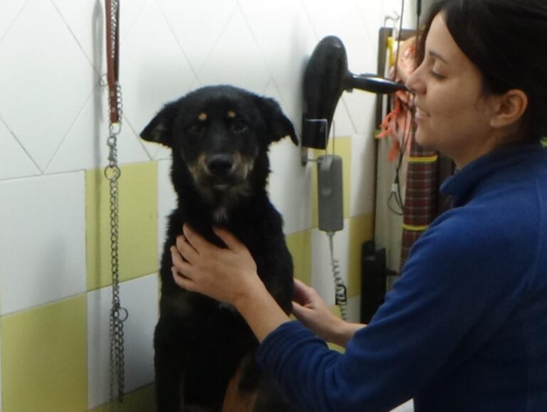 multimedia-foto46849-291-1