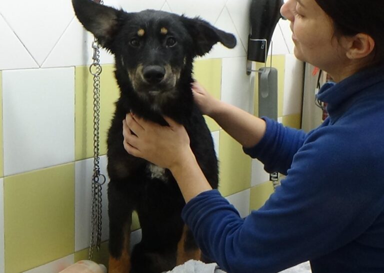 multimedia-foto46850-292-1