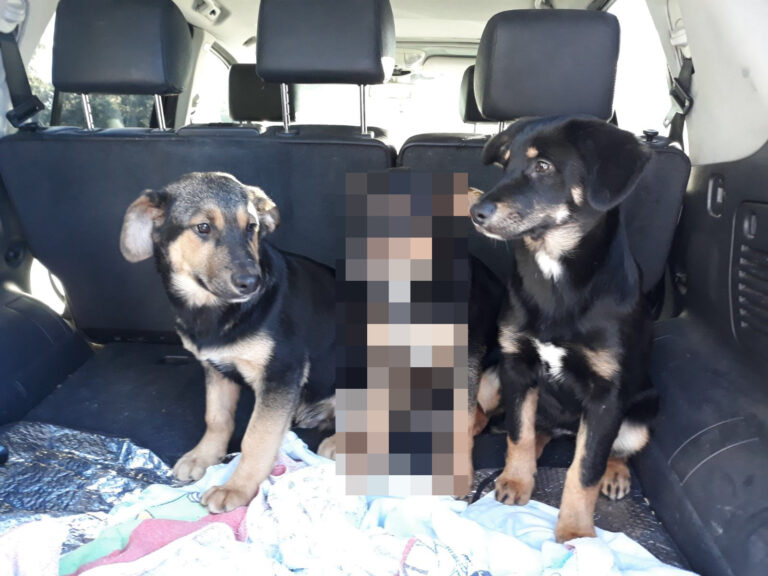 multimedia-foto46851-292-1