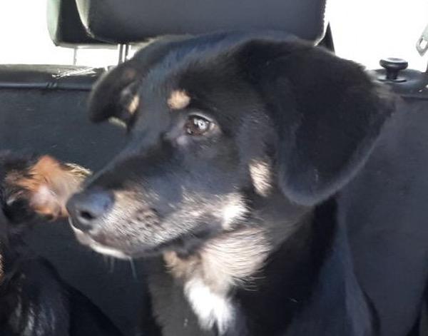 multimedia-foto46853-295-1