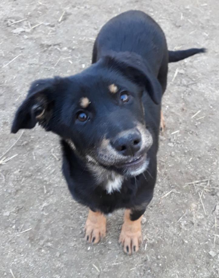 multimedia-foto46854-320-1