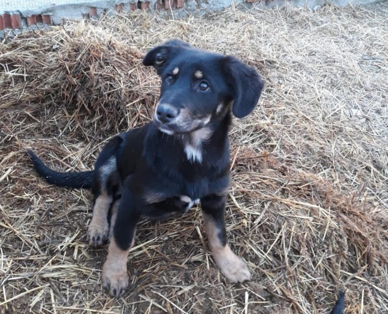 multimedia-foto46856-321-1