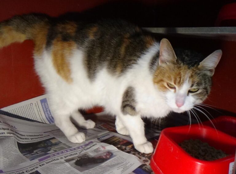 multimedia-foto46881-169-1