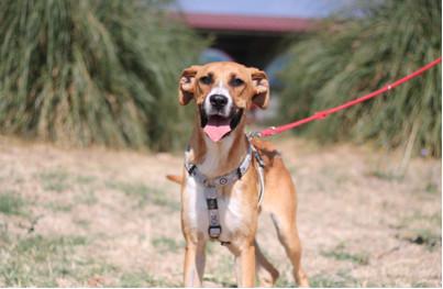 multimedia-foto46896-588-1