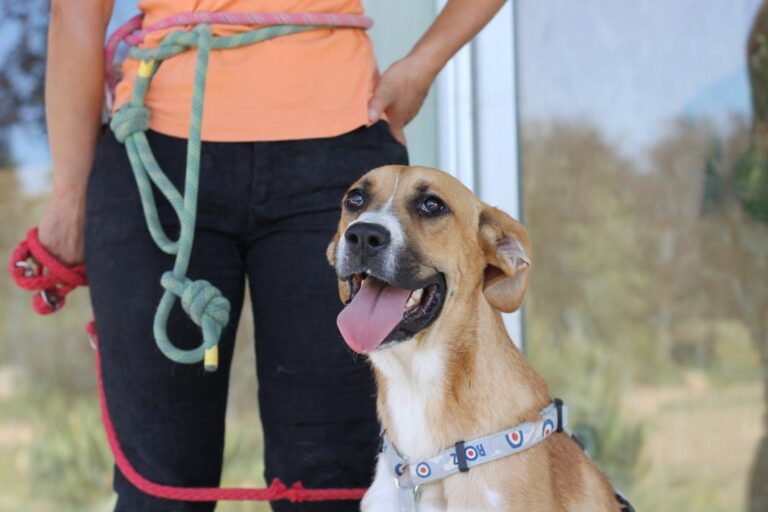 multimedia-foto46897-588-1