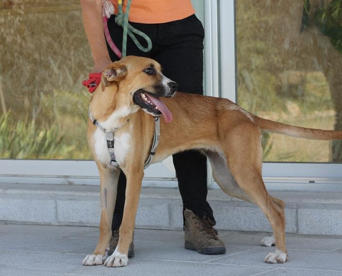 multimedia-foto46898-589-1