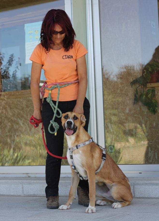 multimedia-foto46899-589-1