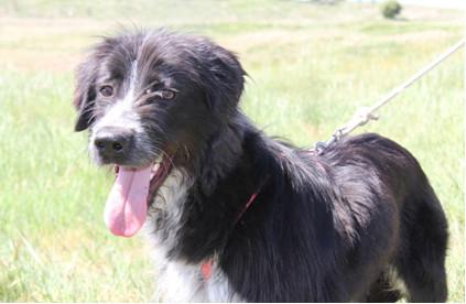 multimedia-foto46910-223-1