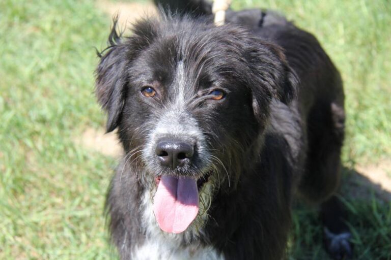 multimedia-foto46911-223-1