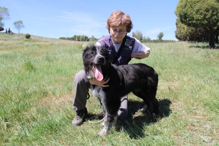 multimedia-foto46912-223-1