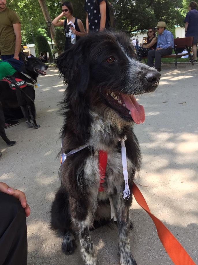 multimedia-foto46913-224-1