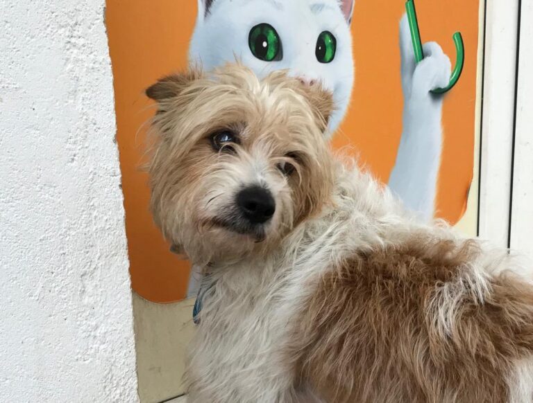 multimedia-foto46914-255-3