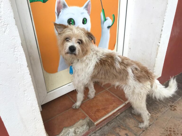 multimedia-foto46915-256-3