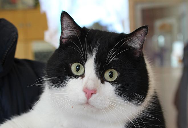 multimedia-foto46920-958-1