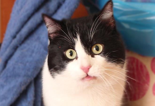 multimedia-foto46925-8-1