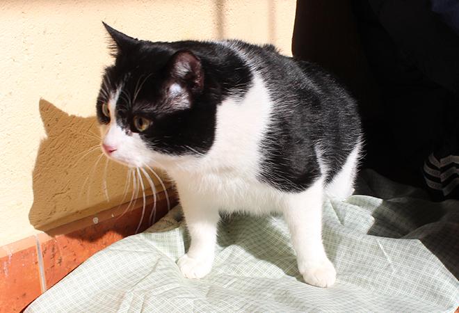 multimedia-foto46927-9-1