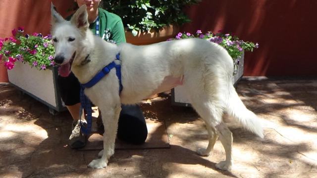 multimedia-foto46950-266-1