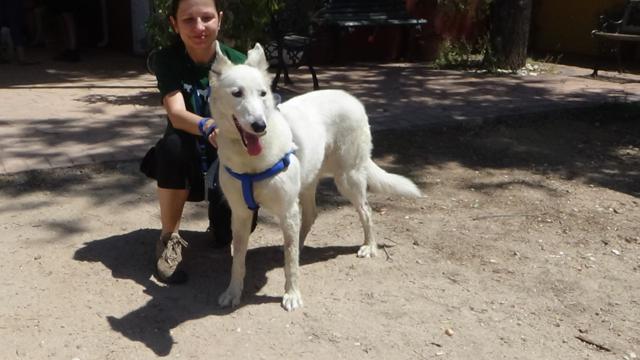 multimedia-foto46951-267-1