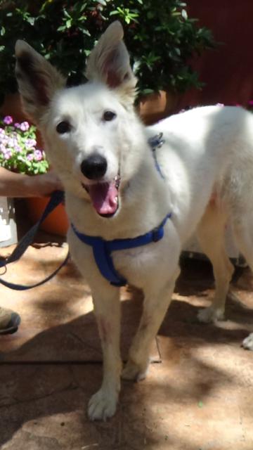 multimedia-foto46953-267-1