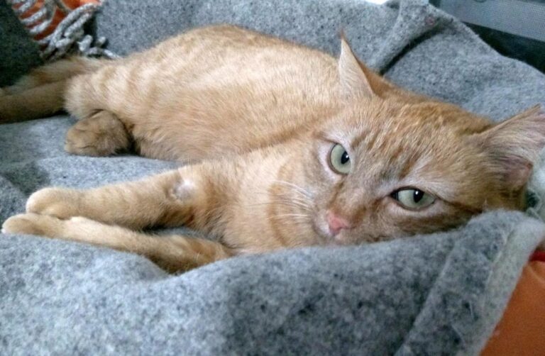 multimedia-foto46961-554-1