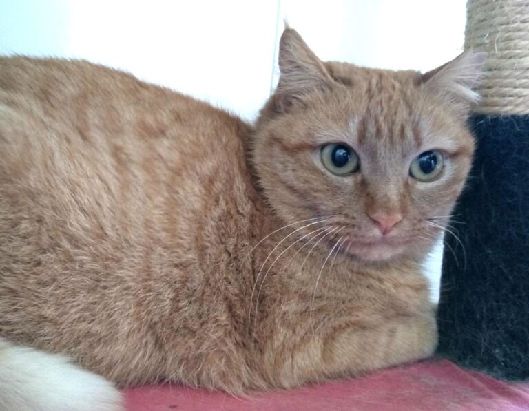 multimedia-foto46964-611-1