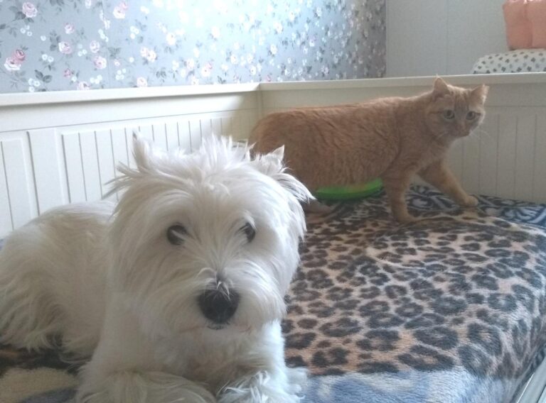 multimedia-foto46967-613-1