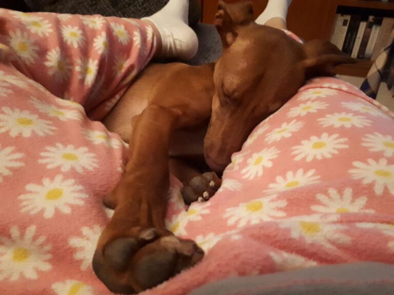 multimedia-foto46998-815-3