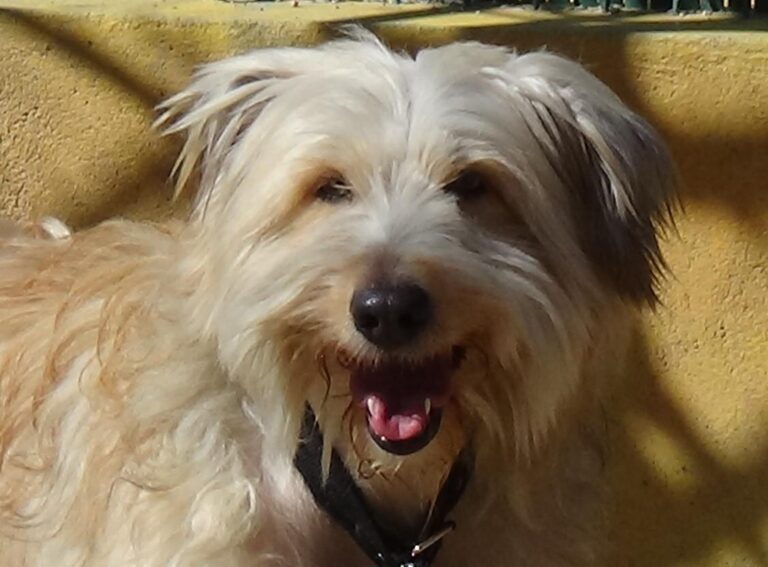 multimedia-foto47079-524-1