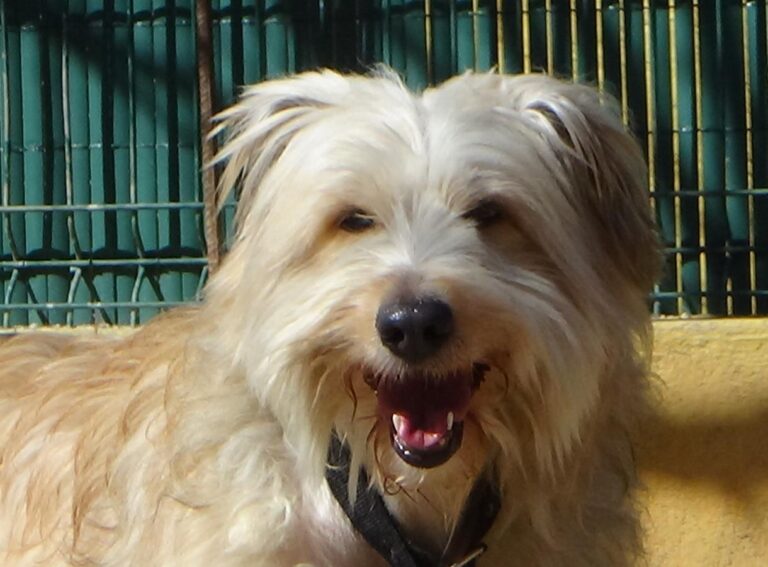 multimedia-foto47080-524-1