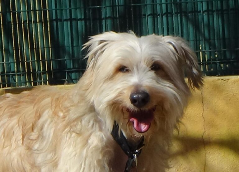 multimedia-foto47081-524-1