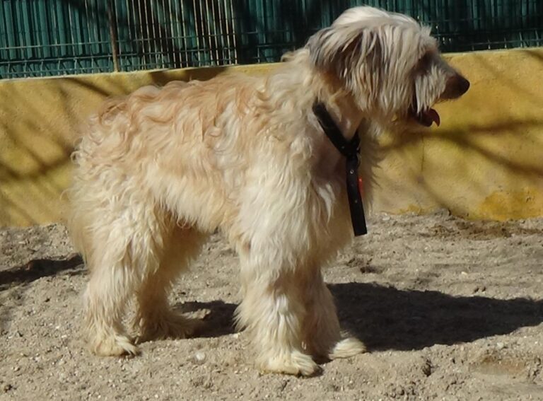 multimedia-foto47082-524-1