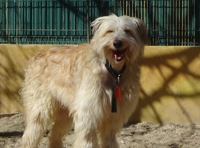 multimedia-foto47083-525-1