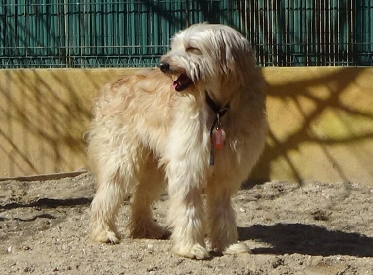 multimedia-foto47084-525-1