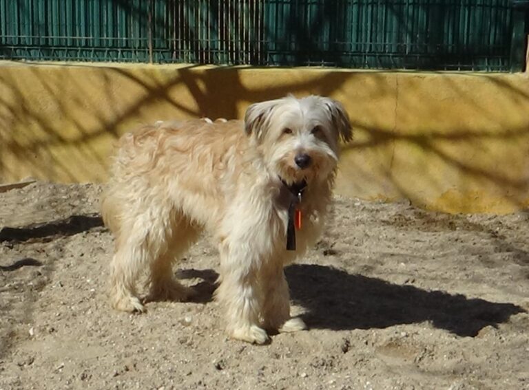 multimedia-foto47085-525-1