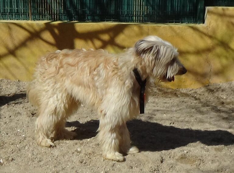 multimedia-foto47087-596-1