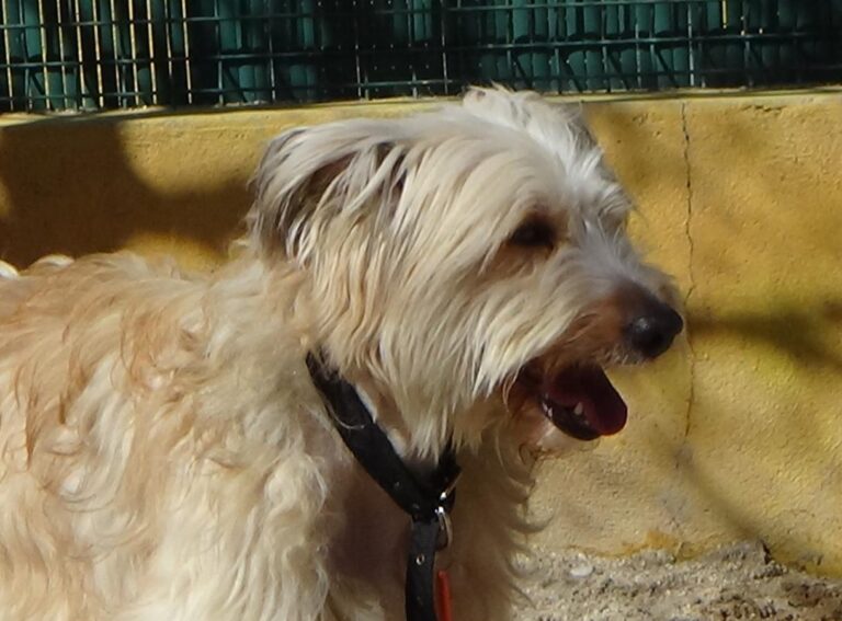 multimedia-foto47088-596-1