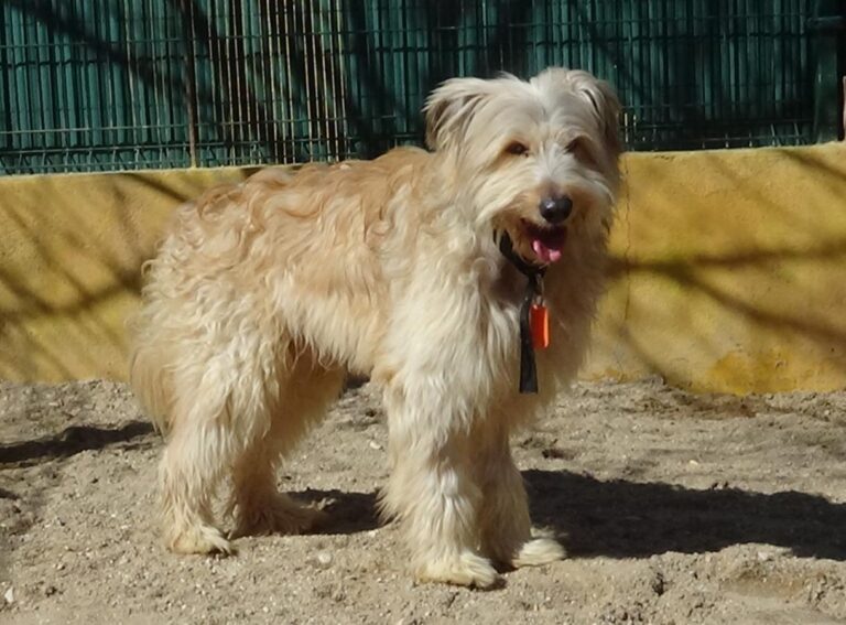 multimedia-foto47089-596-1