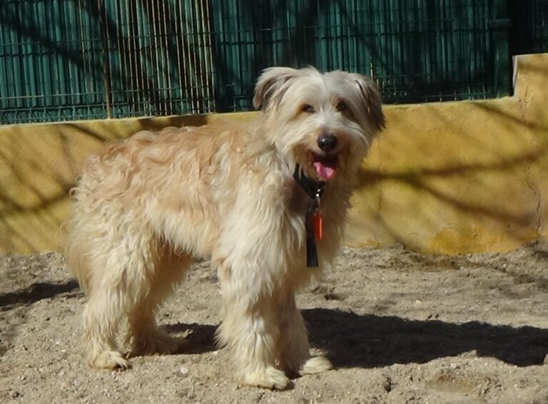 multimedia-foto47090-597-1