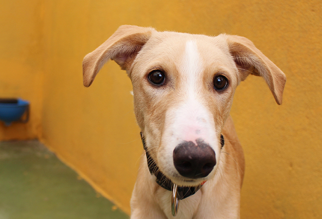 multimedia-foto47180-833-3