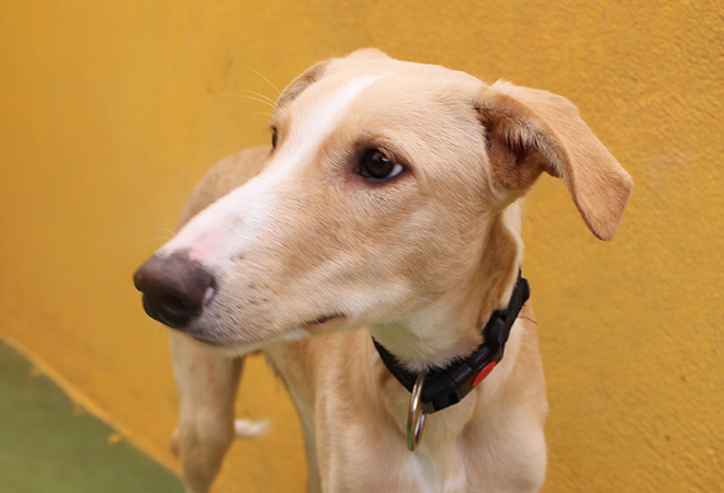 multimedia-foto47181-834-3